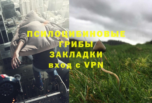 амф Алексеевка