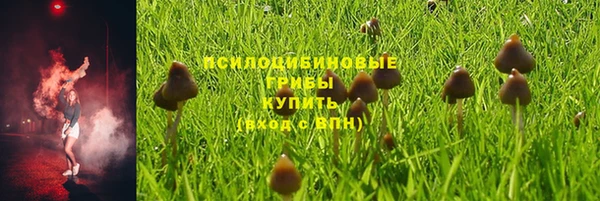 бошки Алексин