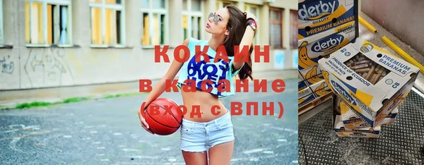 бошки Алексин