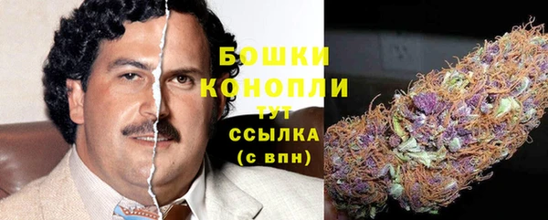 бошки Алексин