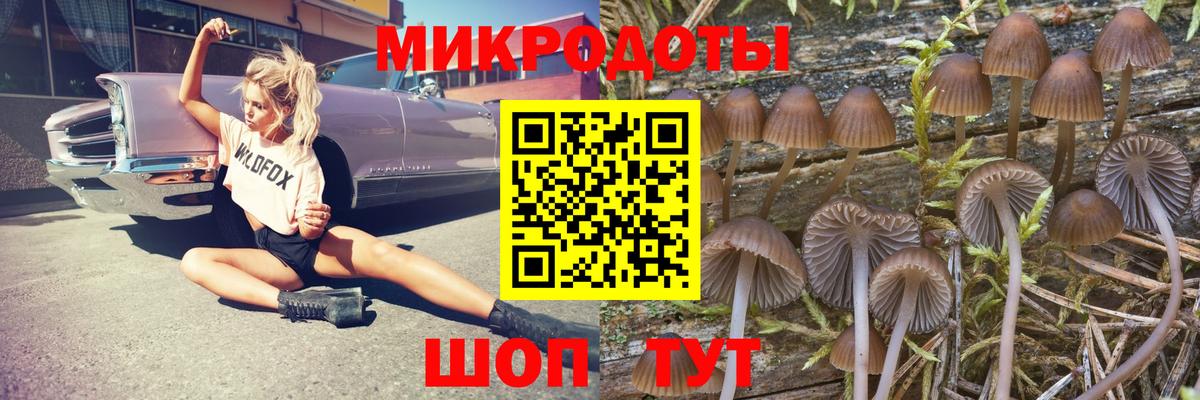 Псилоцибиновые грибы ЛСД Североуральск